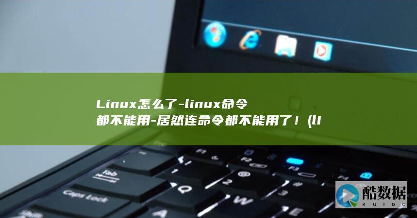 Linux怎么了-linux命令都不能用-居然连命令都不能用了！ (linux怎么安装软件包)
