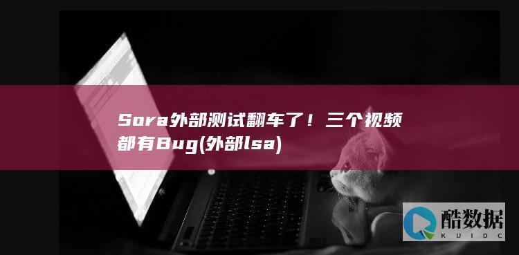 外部lsa