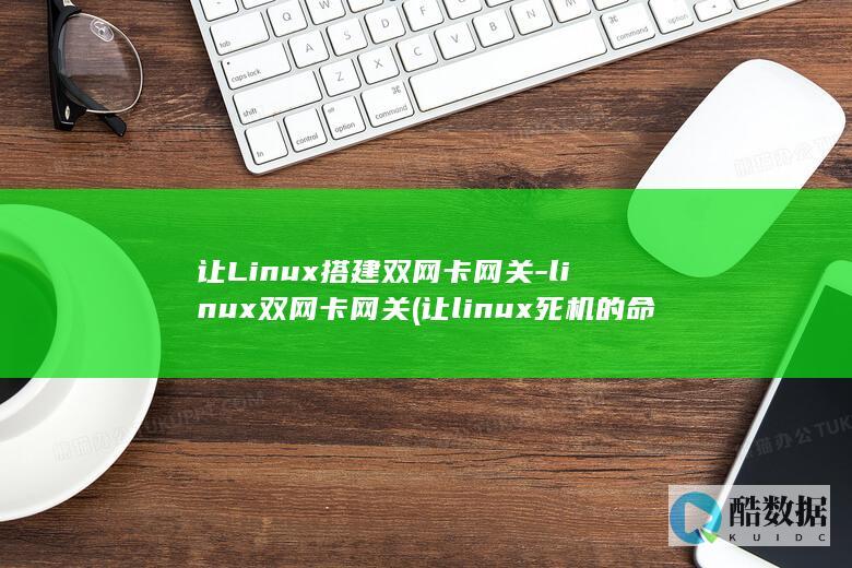让Linux搭建双网卡网关-linux双网卡网关 (让linux死机的命令)