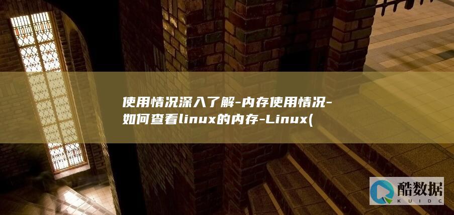 使用情况深入了解-内存使用情况-如何查看linux的内存-Linux (使用情况报告范文)