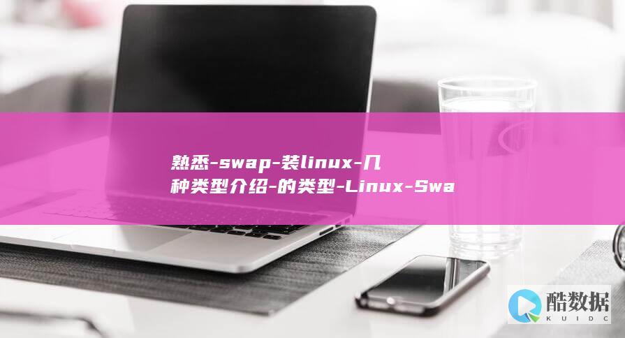 熟悉-swap-装linux-几种类型介绍-的类型-Linux-Swap (熟悉的拼音)