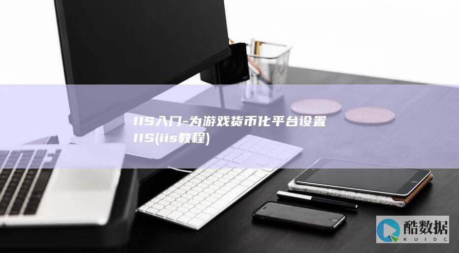 IIS入门-为游戏货币化平台设置IIS (iis 教程)