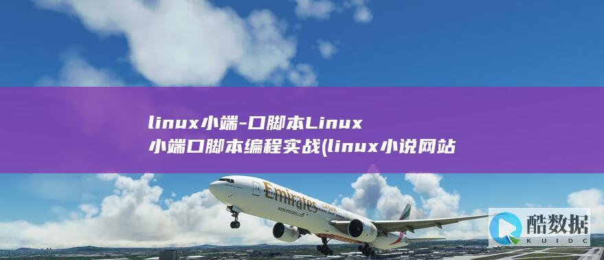 linux小端-口脚本Linux小端口脚本编程实战 (linux小说网站)