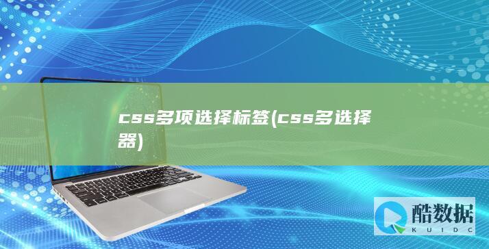 css多项选择标签 (css多选择器)