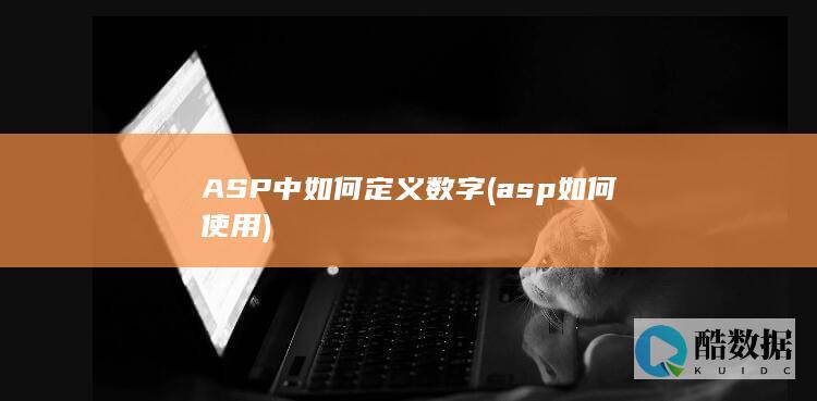 ASP中如何定义数字 (asp如何使用)