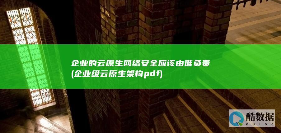 企业的云原生网络安全应该由谁负责 (企业级云原生架构 pdf)