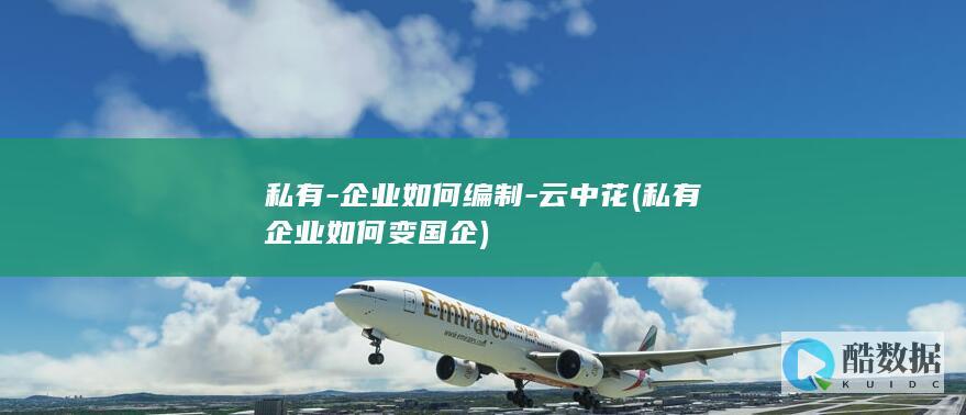 私有-企业如何编制-云中花 (私有企业如何变国企)