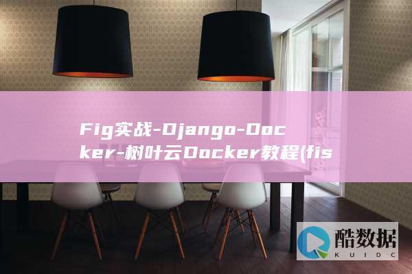 Fig实战-Django-Docker-树叶云Docker教程 (fist战术篮球)