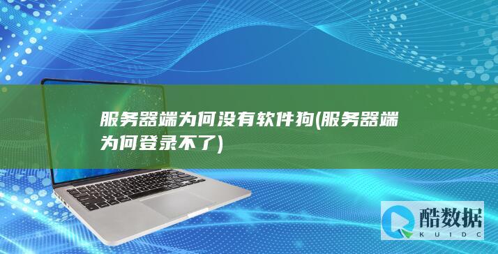 服务器端为何没有软件狗 (服务器端为何登录不了)