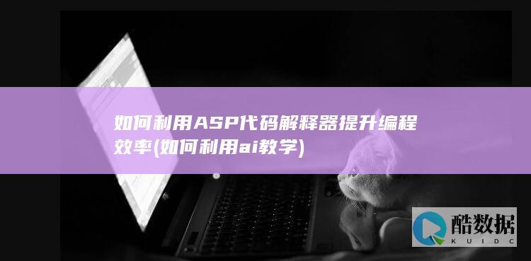 如何利用ASP代码解释器提升编程效率 (如何利用ai教学)