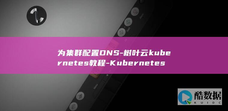 为集群配置DNS-树叶云kubernetes教程-Kubernetes (集群的配置)