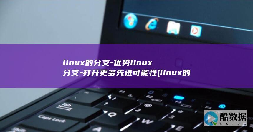 linux的分支-优势linux分支-打开更多先进可能性 (linux的特点)