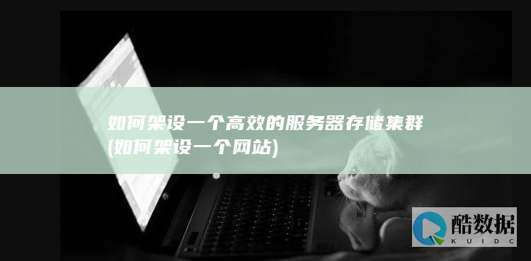 如何架设一个高效的服务器存储集群 (如何架设一个网站)
