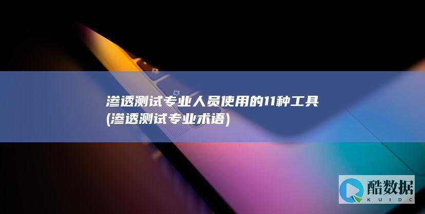渗透测试专业人员使用的11种工具 (渗透测试专业术语)