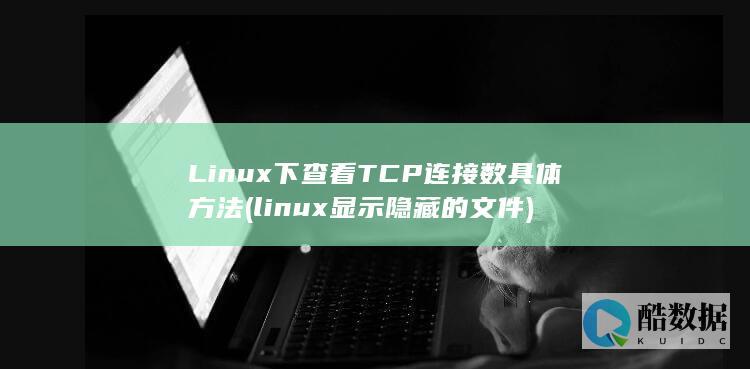 Linux下查看TCP连接数具体方法 (linux显示隐藏的文件)
