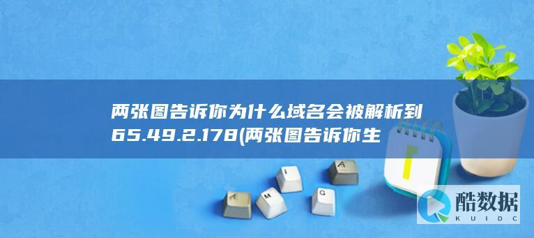 两张图告诉你为什么域名会被解析到65.49.2.178 (两张图告诉你生一个孩子好还是生两个好?)