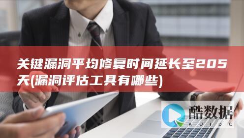关键漏洞平均修复时间延长至205天 (漏洞评估工具有哪些)