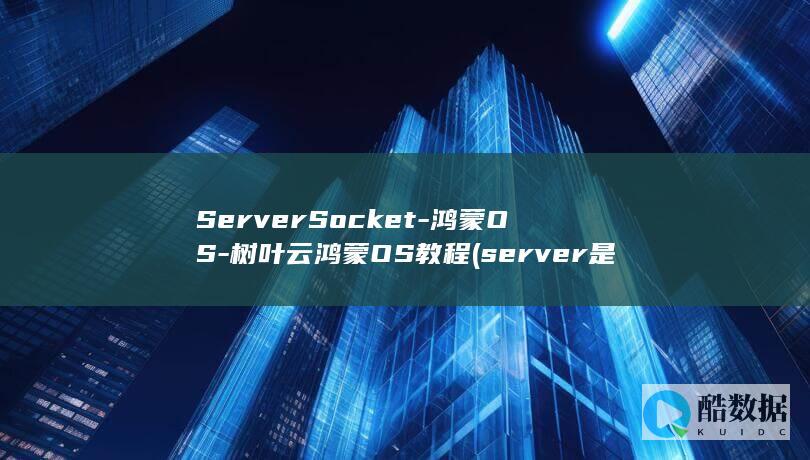 server是什么意思