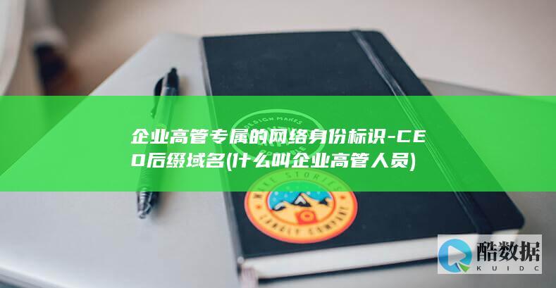 企业高管专属的网络身份标识-CEO后缀域名 (什么叫企业高管人员)