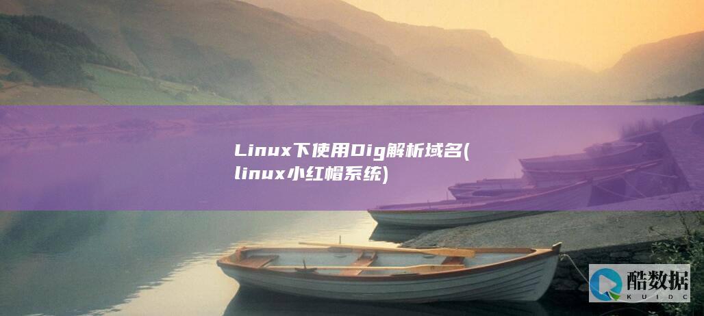 Linux下使用Dig解析域名 (linux小红帽系统)