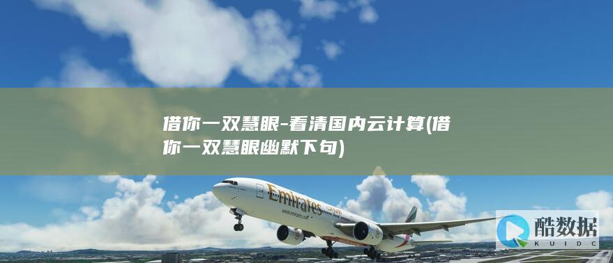 借你一双慧眼-看清国内云计算 (借你一双慧眼幽默下句)