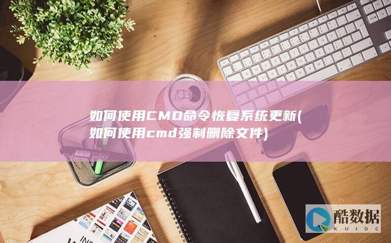 如何使用CMD命令恢复系统更新 (如何使用cmd强制删除文件)