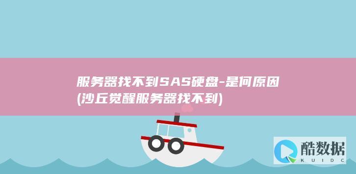 服务器找不到SAS硬盘-是何原因 (沙丘觉醒服务器找不到)