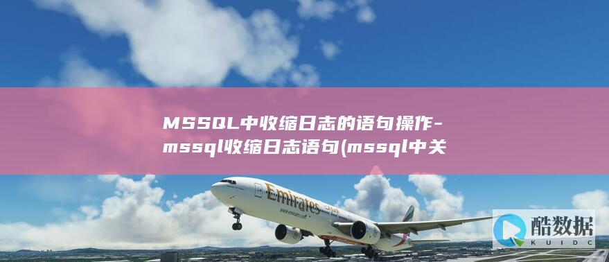 ms收缩日志语句