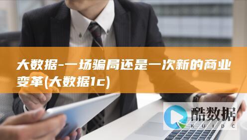 大数据-一场骗局还是一次新的商业变革 (大数据1c)
