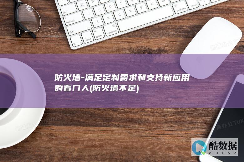 防火墙-满足定制需求和支持新应用的看门人 (防火墙不足)