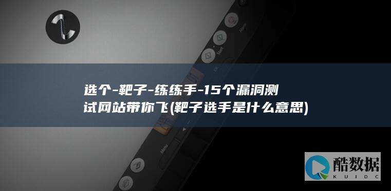 选个-靶子-练练手-15个漏洞测试网站带你飞 (靶子选手是什么意思)