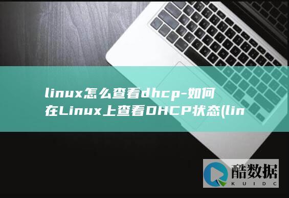 linux怎么查看dhcp-如何在Linux上查看DHCP状态 (linux怎么安装软件包)