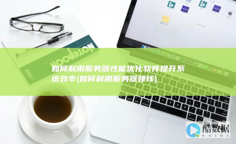 如何利用服务器性能优化软件提升系统效率 (如何利用服务器赚钱)