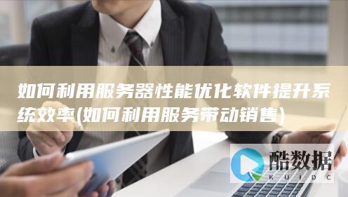 如何利用服务器性能优化软件提升系统效率 (如何利用服务带动销售)