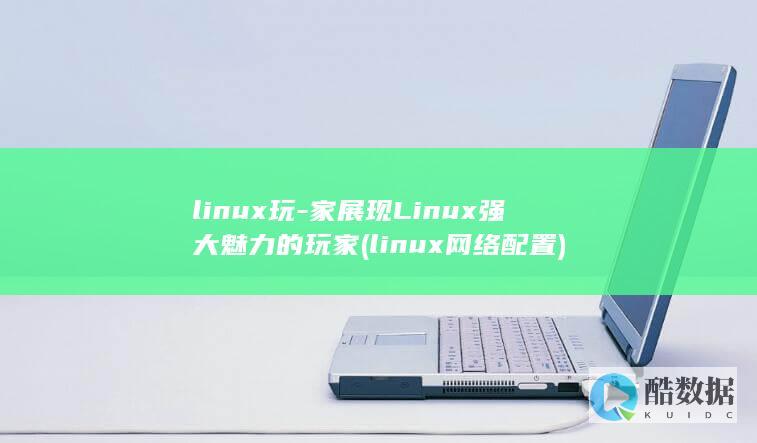 linux玩-家展现Linux强大魅力的玩家 (linux网络配置)