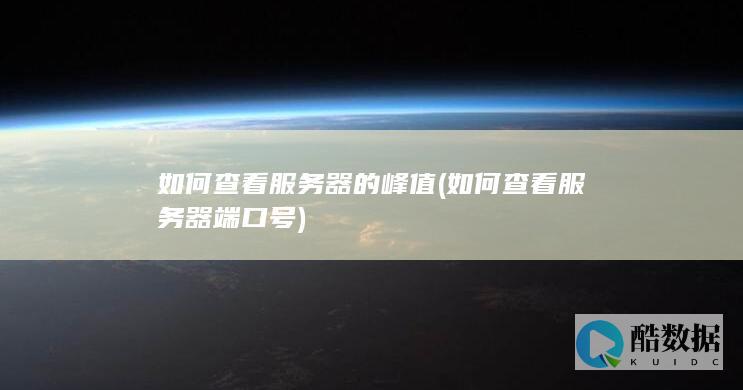 如何查看服务器的峰值 (如何查看服务器端口号)