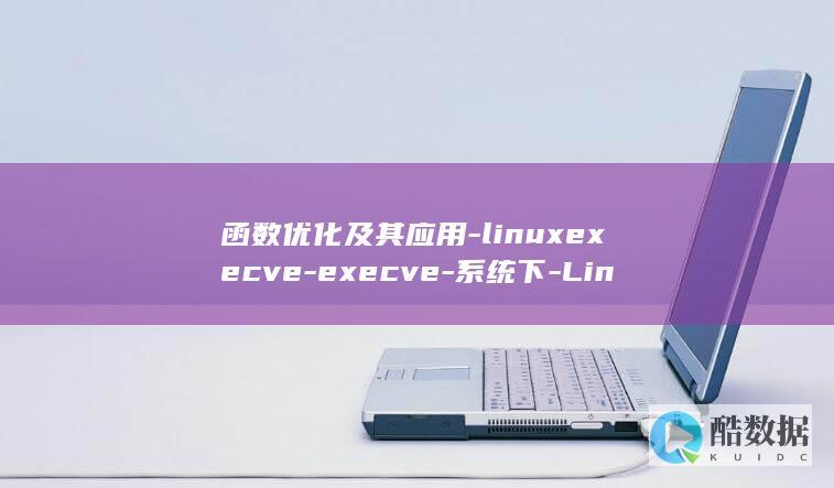 函数优化及其应用-linuxexecve-execve-系统下-Linux (函数优化是什么意思)