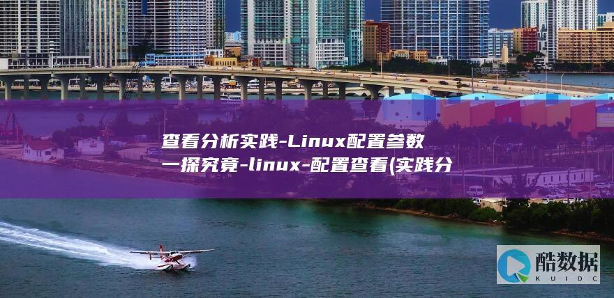 查看分析实践-Linux配置参数一探究竟-linux-配置查看 (实践分析什么意思)