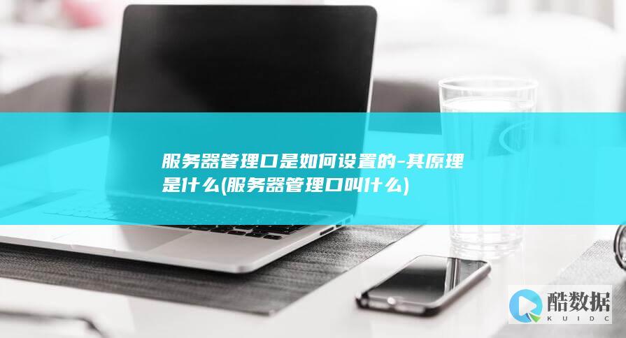 服务器管理口是如何设置的-其原理是什么 (服务器管理口叫什么)