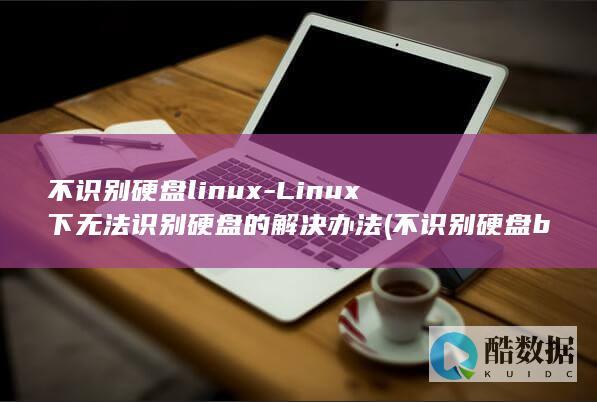 不识别硬盘linux-Linux下无法识别硬盘的解决办法 (不识别硬盘bios设置)