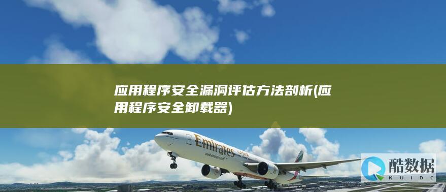 应用程序安全漏洞评估方法剖析 (应用程序安全卸载器)