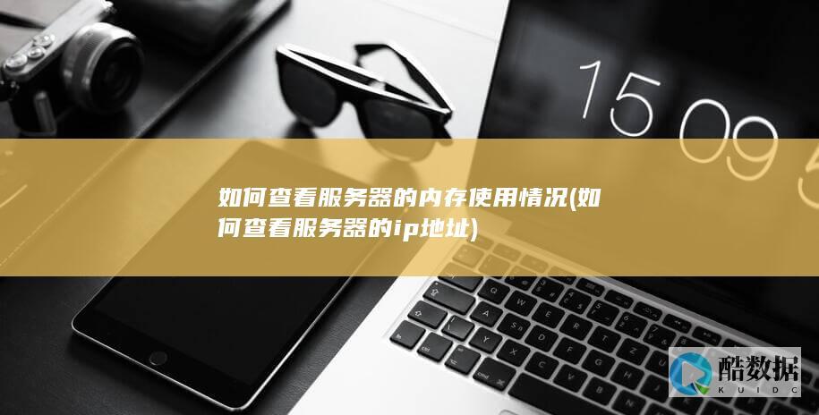 如何查看服务器的内存使用情况 (如何查看服务器的ip地址)