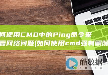 如何使用CMD中的Ping命令来修复网络问题 (如何使用cmd强制删除文件)
