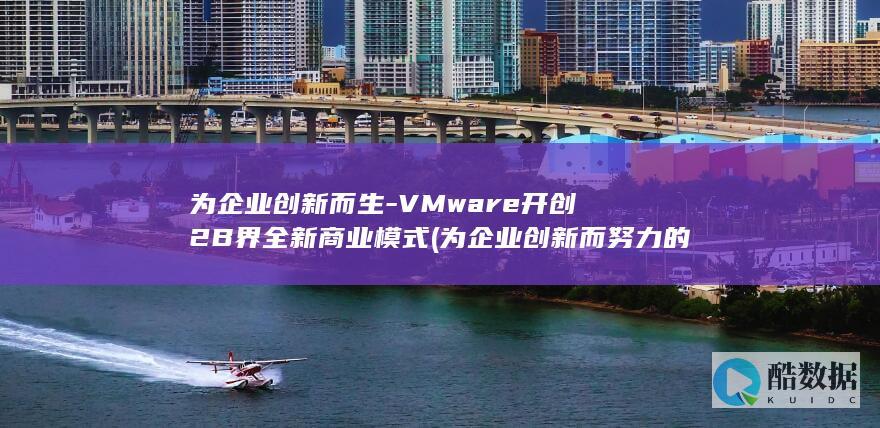 为企业创新而生-VMware开创2B界全新商业模式 (为企业创新而努力的人)