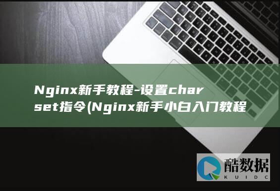 Nginx新手教程-设置charset指令 (Nginx新手小白入门教程)