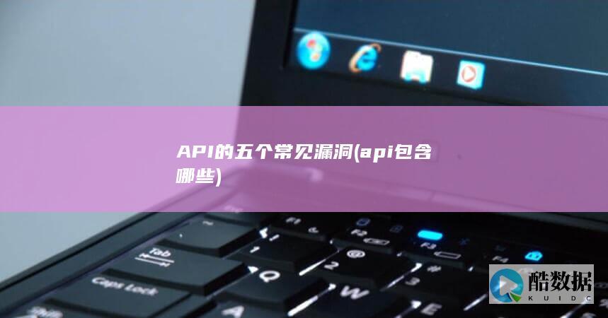 API的五个常见漏洞 (api包含哪些)