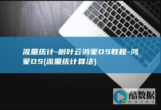 流量统计-树叶云鸿蒙OS教程-鸿蒙OS (流量统计算法)