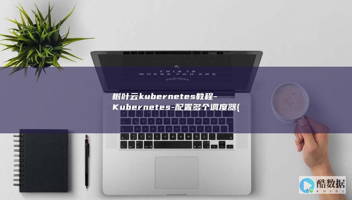 树叶云kubernetes教程-Kubernetes-配置多个调度器 (树叶云电脑)