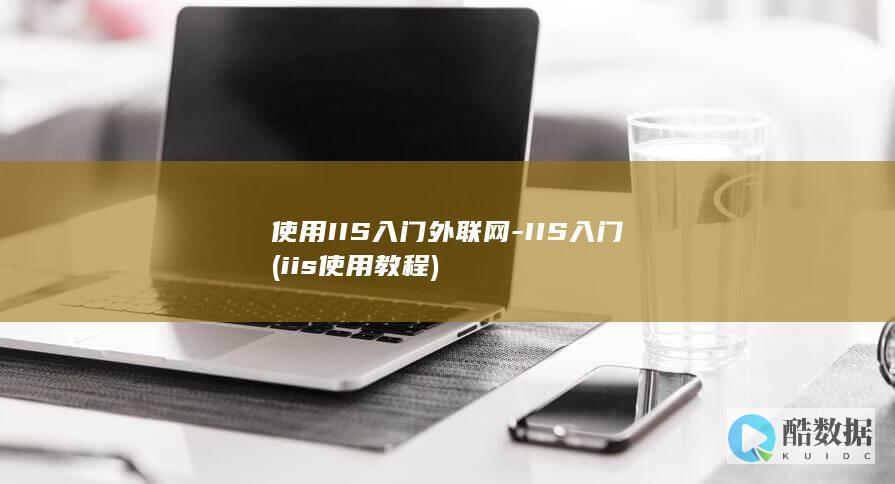 使用IIS入门外联网-IIS入门 (iis使用教程)