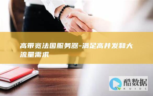 高带宽法国服务器-满足高并发和大流量需求
